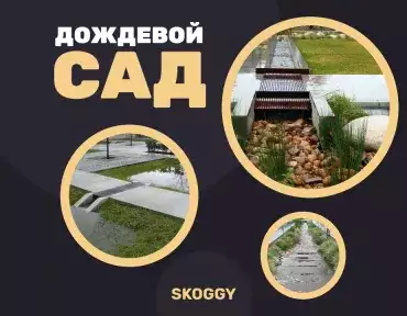 Дождевой сад