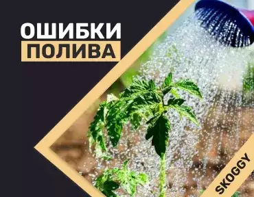 Ошибки полива