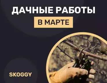 Дачные работы в марте Дачные работы в марте